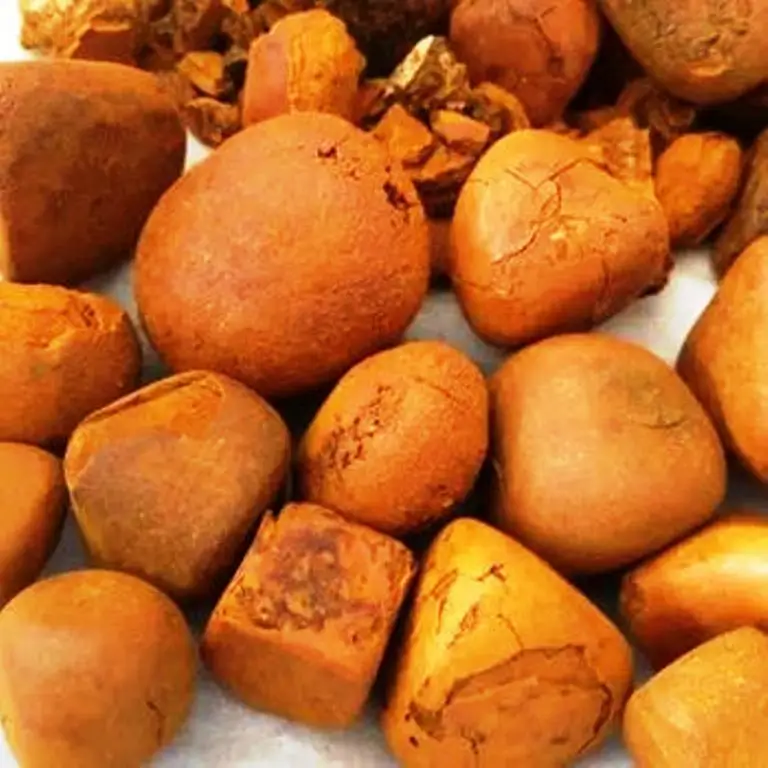 Quality Ox Gallstones Cattle Gallstones Cow Gallstones
