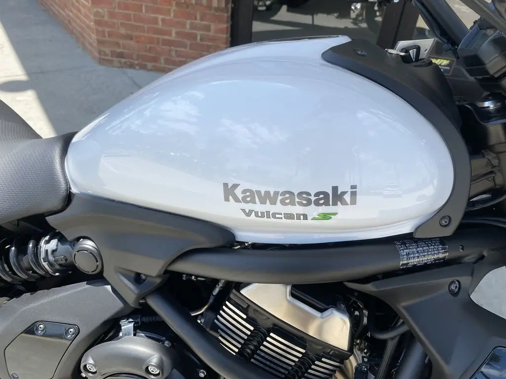 2018 Kawasaki обыкновенный S