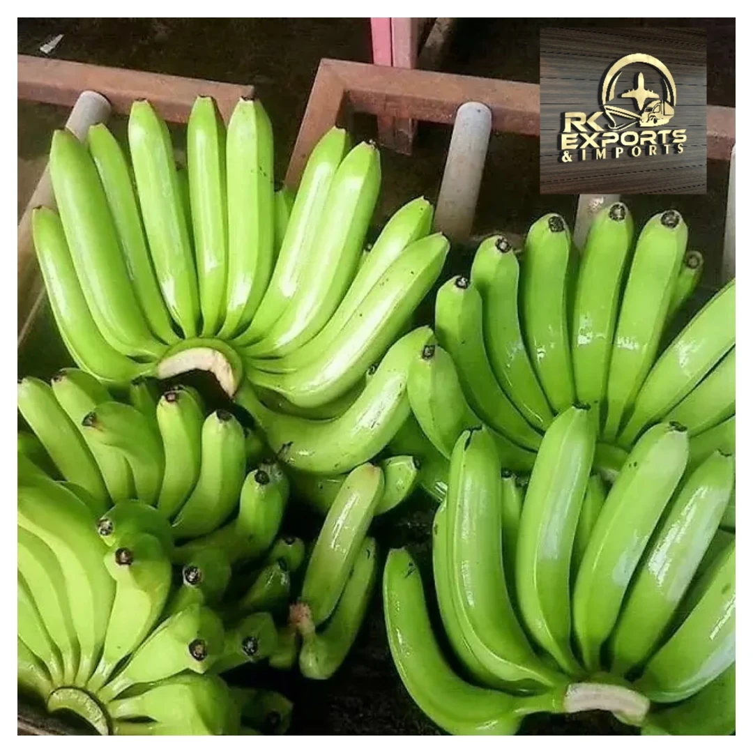 Fresh Cavendish Banana Exporters In India at 13 kg Cartons wholesale supplier and exporter from india tamilnadu  +919786060004