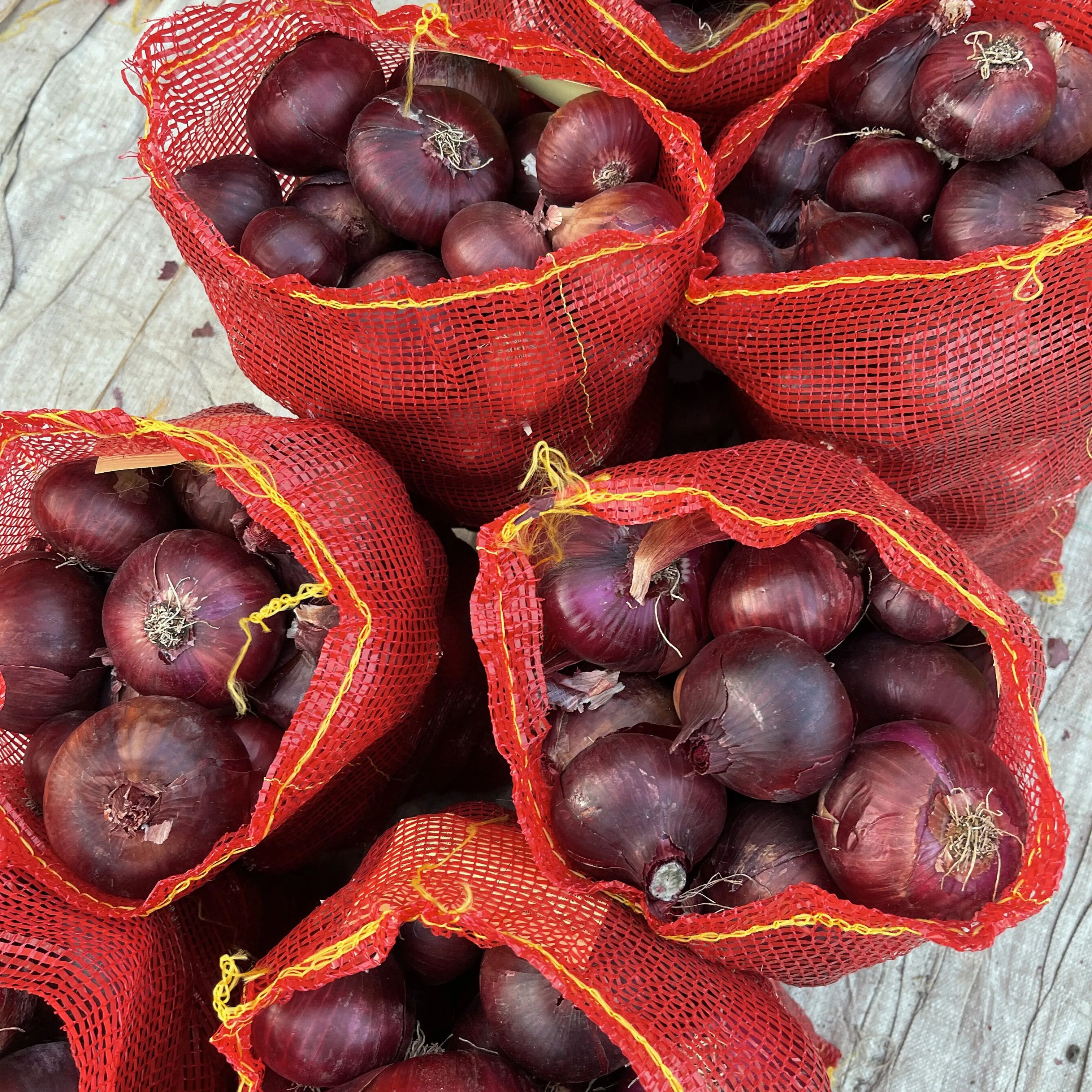 Different sizes of fresh yellow onion