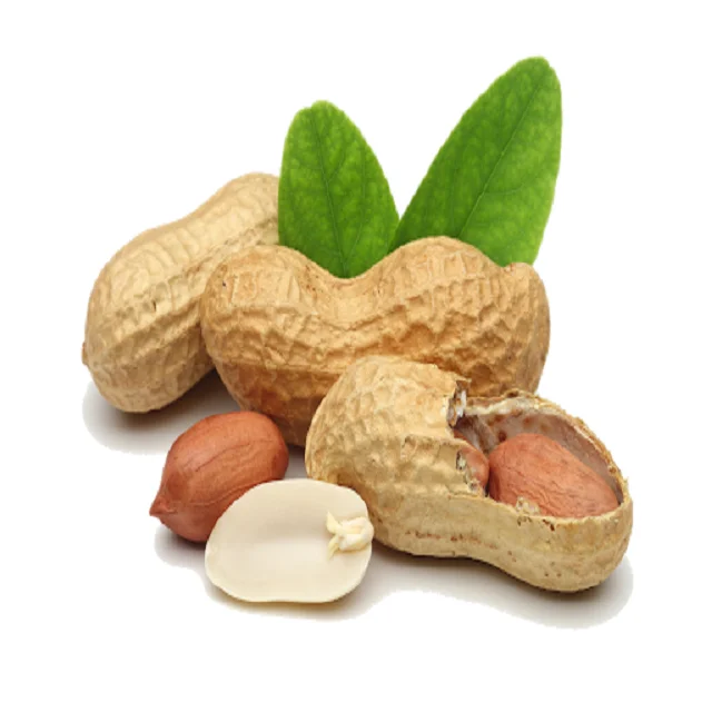 Health in every piece - Groundnut or Peanuts
