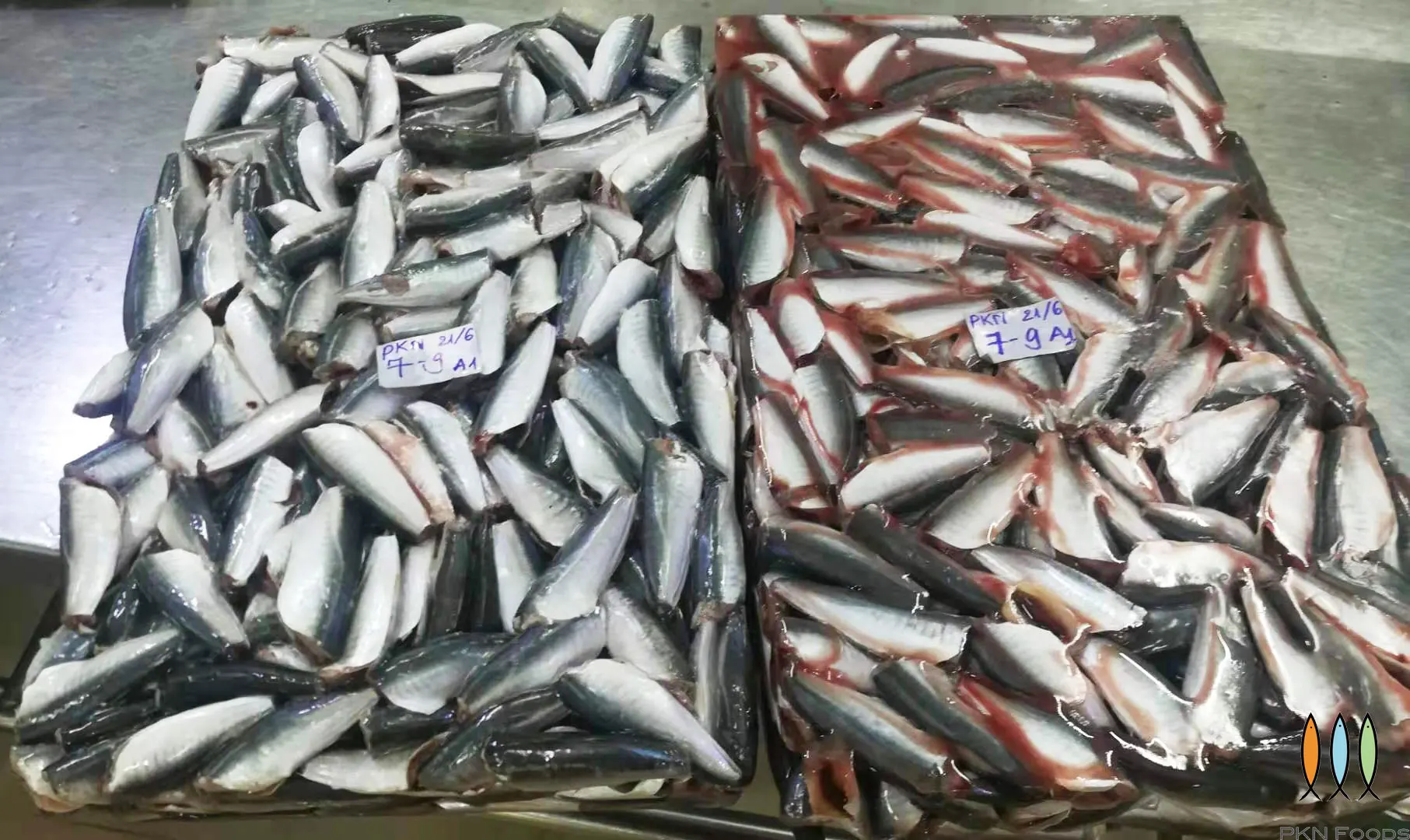 Frozen Round scad HGT for market canned fish From Viet Nam -  cheapest price, high quality