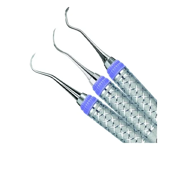 Scaler Gracey Premium Quality