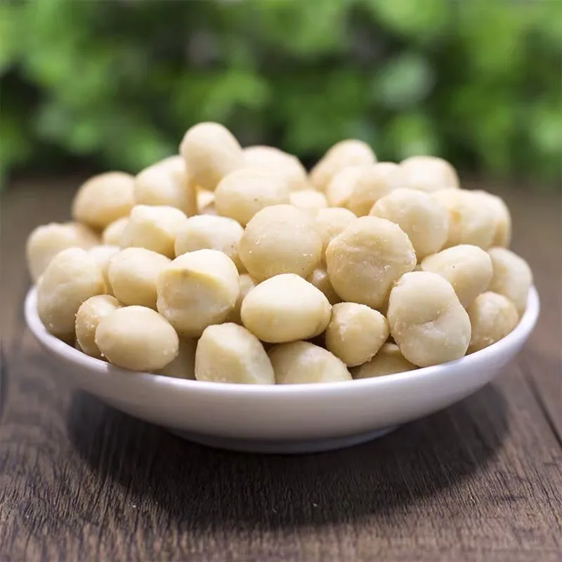 Macadamia 500 Grams Roasted Naturally 100 Percentage Which Is Good For Your Health