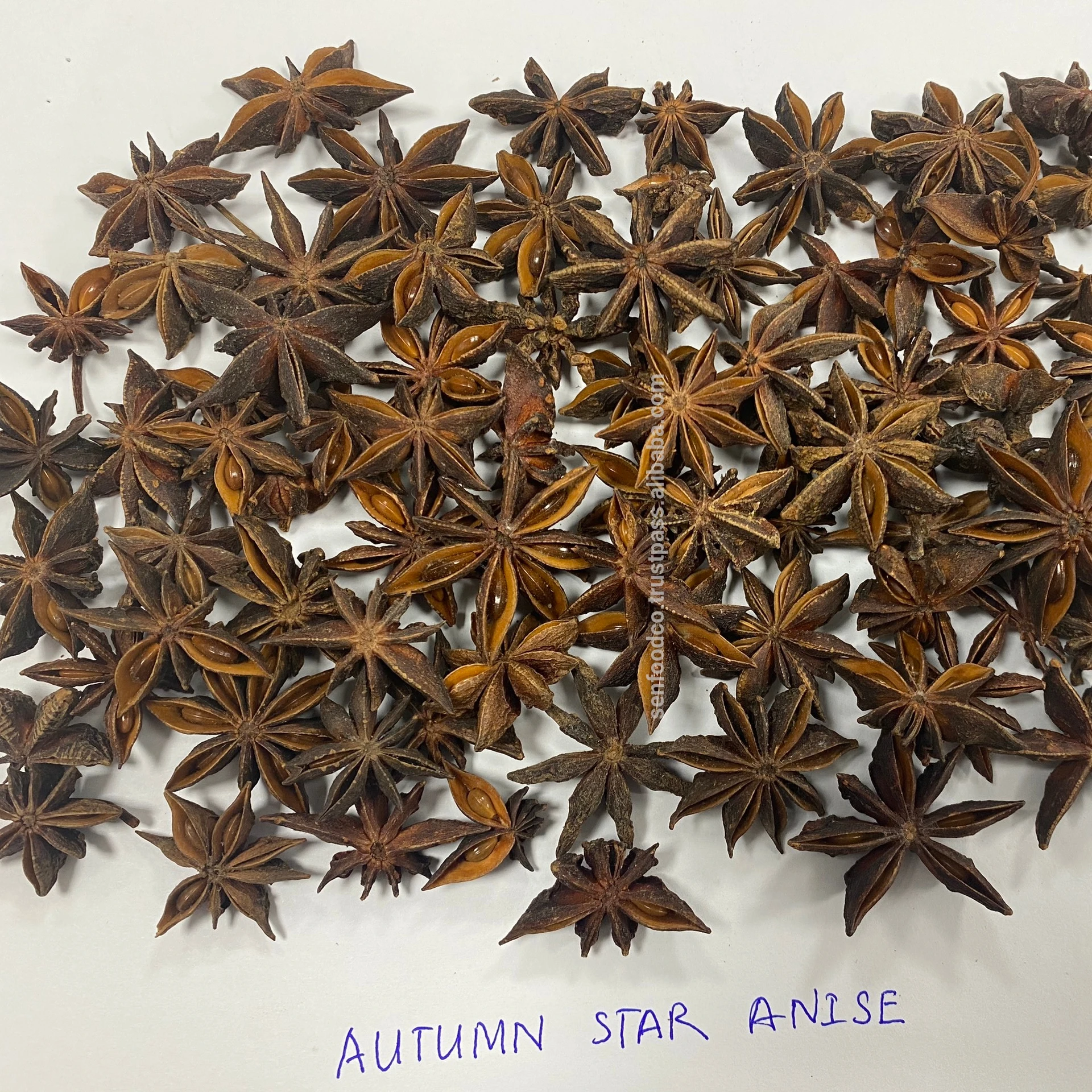 Spices - AUTUMN STAR ANISE FROM VIETNAM Good price New crop