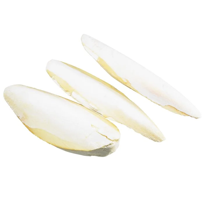 High Quality Vietnam Dried Cuttlefish Bone For Pet Toy Customized Packed