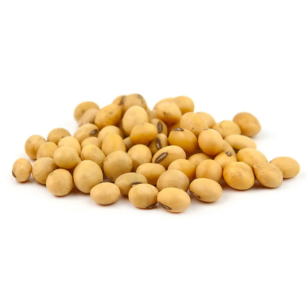 
Russian wholesale soybeans, agriculture product 