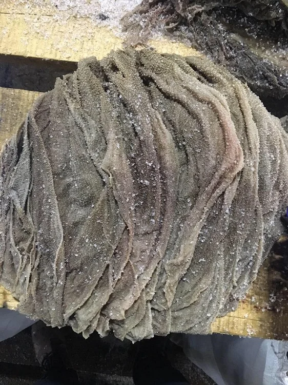 Dry Salted Beef Omasum for Export