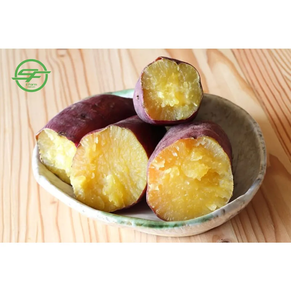 Organic fresh sweet potatoes from Vietnam healthy vegetables fresh sweet potato seeds (1600204311534)