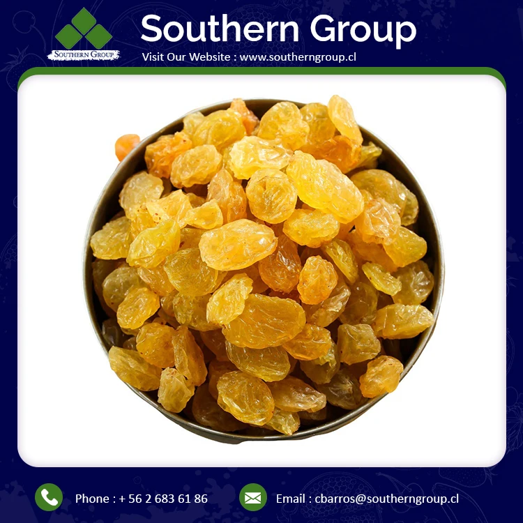 
High Quality Best Seller Factory Price Wholesale Golden Raisins for Sale 