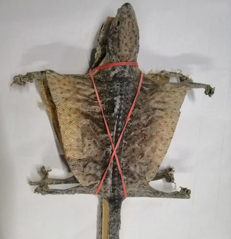 Сушеный ГАК AYAME из Таиланда