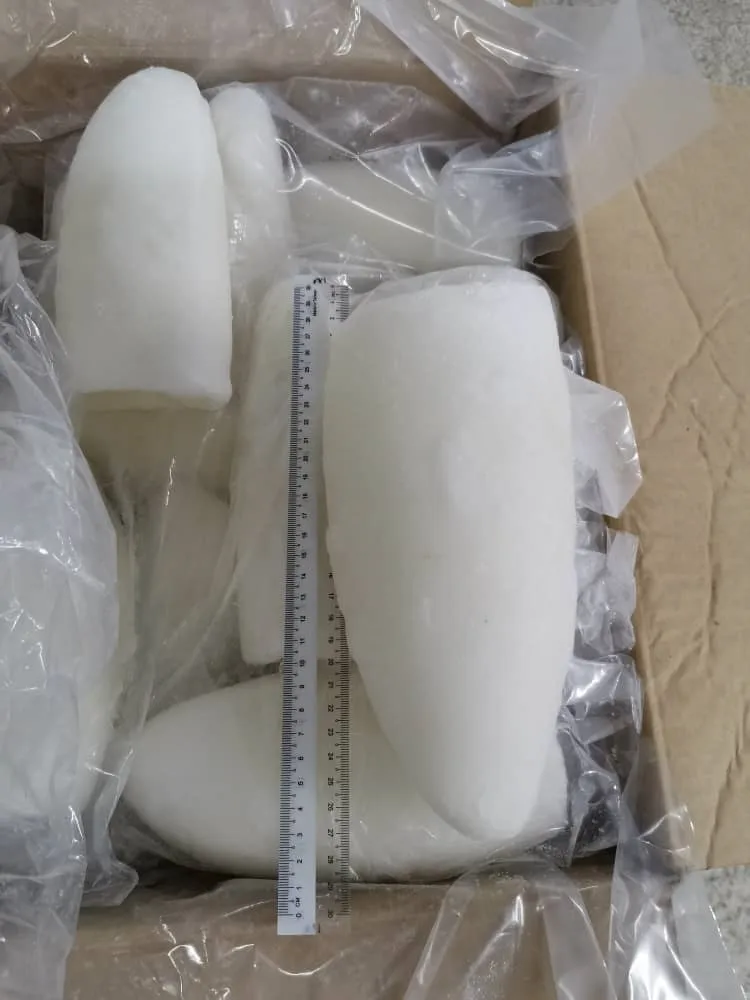 2 Years Shelf Life Good Quality Fresh Frozen Whole Cleaned Cuttlefish Roll From Malaysia