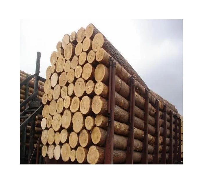 Australian Standard MGP 10 Treated Lumber Pressure Pine Wood Lumber Timber Pine Wood 90x45 timber suppliers