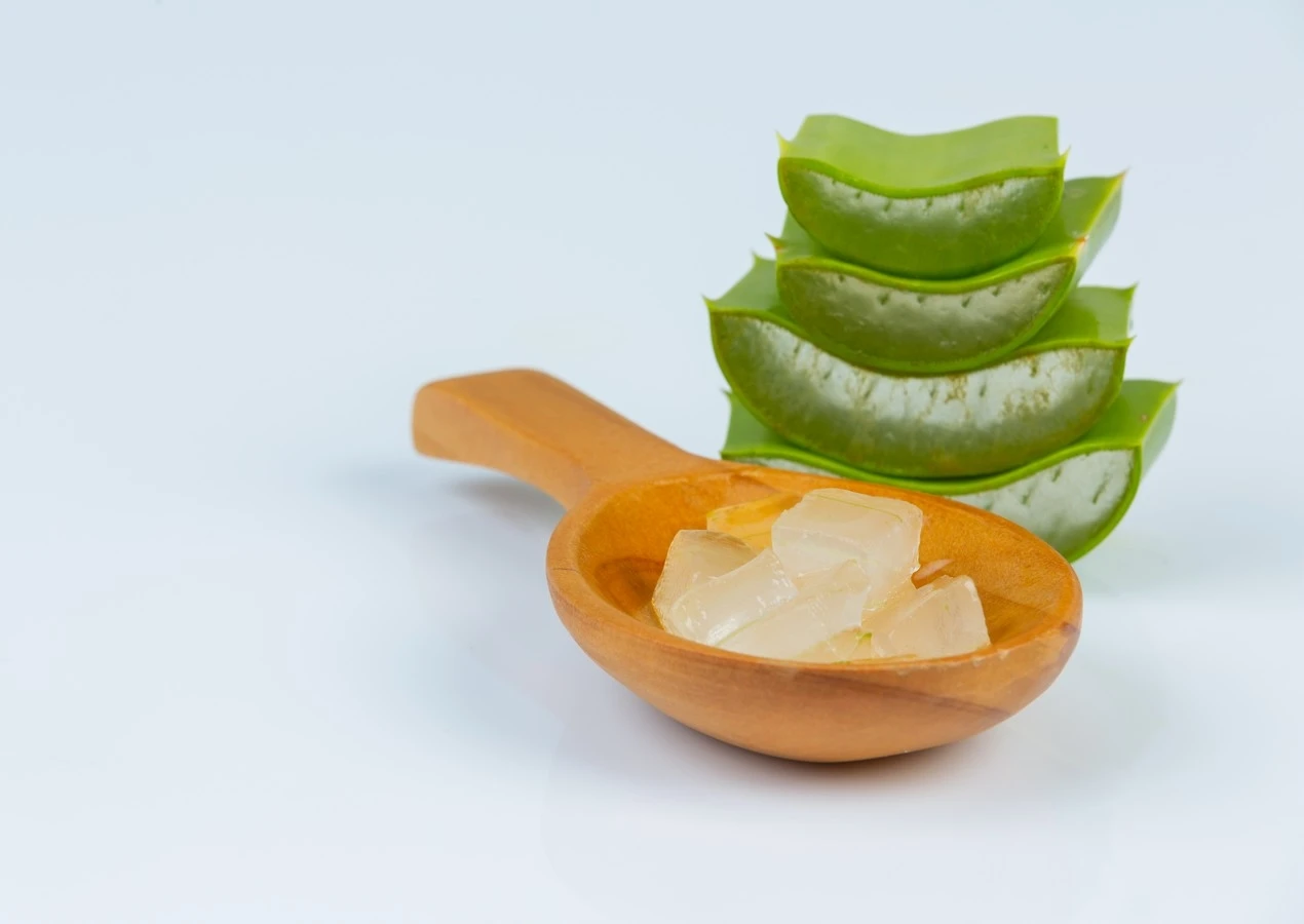 Natural Herb Use Beauty Aloe vera in syrup from Vietnam