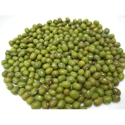 
Moong, Mung Bean Seeds ,green gram, maash wholesale / spices wholesale 