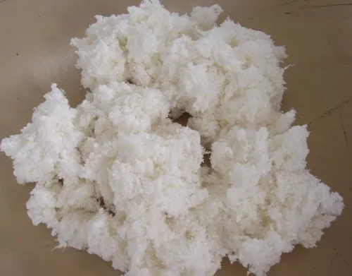 
Cotton linter Raw cotton 