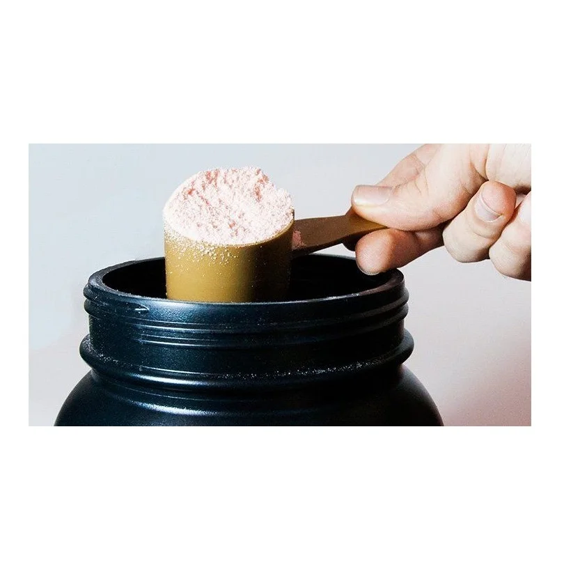 
High Quality Dairy Casein Protien Powder Available at Cheap Rate 