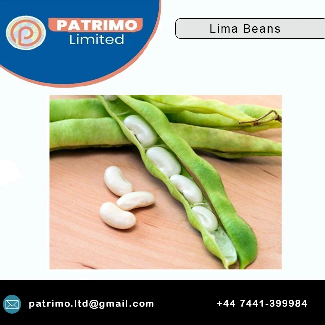 
Fresh supplier quantity Selling Lima Beans for Bulk Purchase at Wholesale Price 
