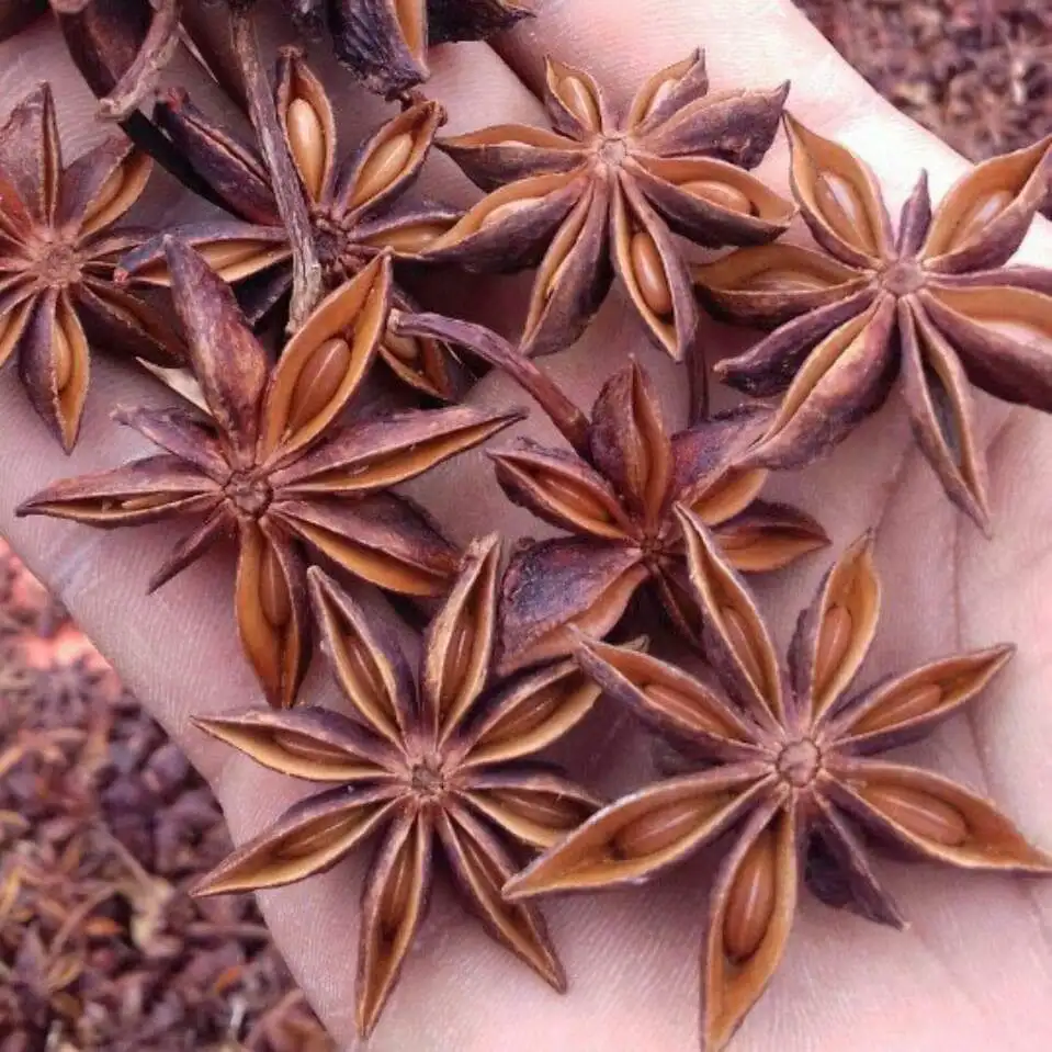 dry STAR ANISE good quality for sale call +84984418844 whatsapp