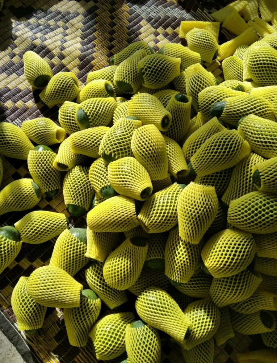 Свежий авокадо HASS для продажи