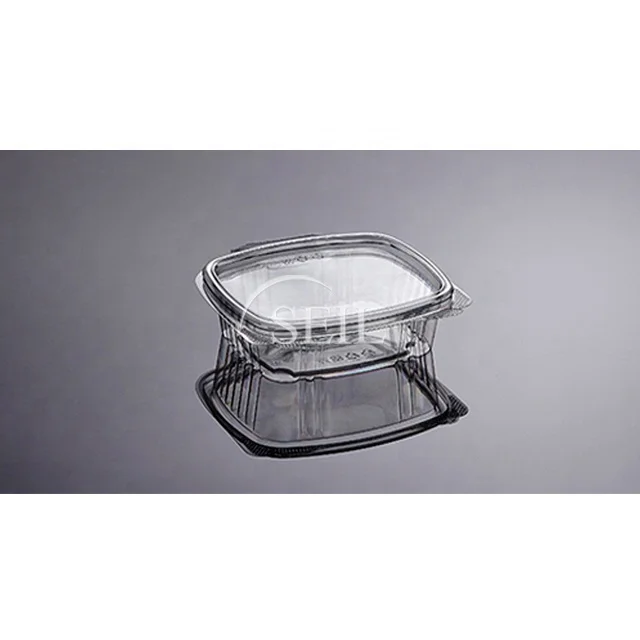 SL-08 Hinged Food Clear Plastic Deli Container / Takeaway Disposable Box Container