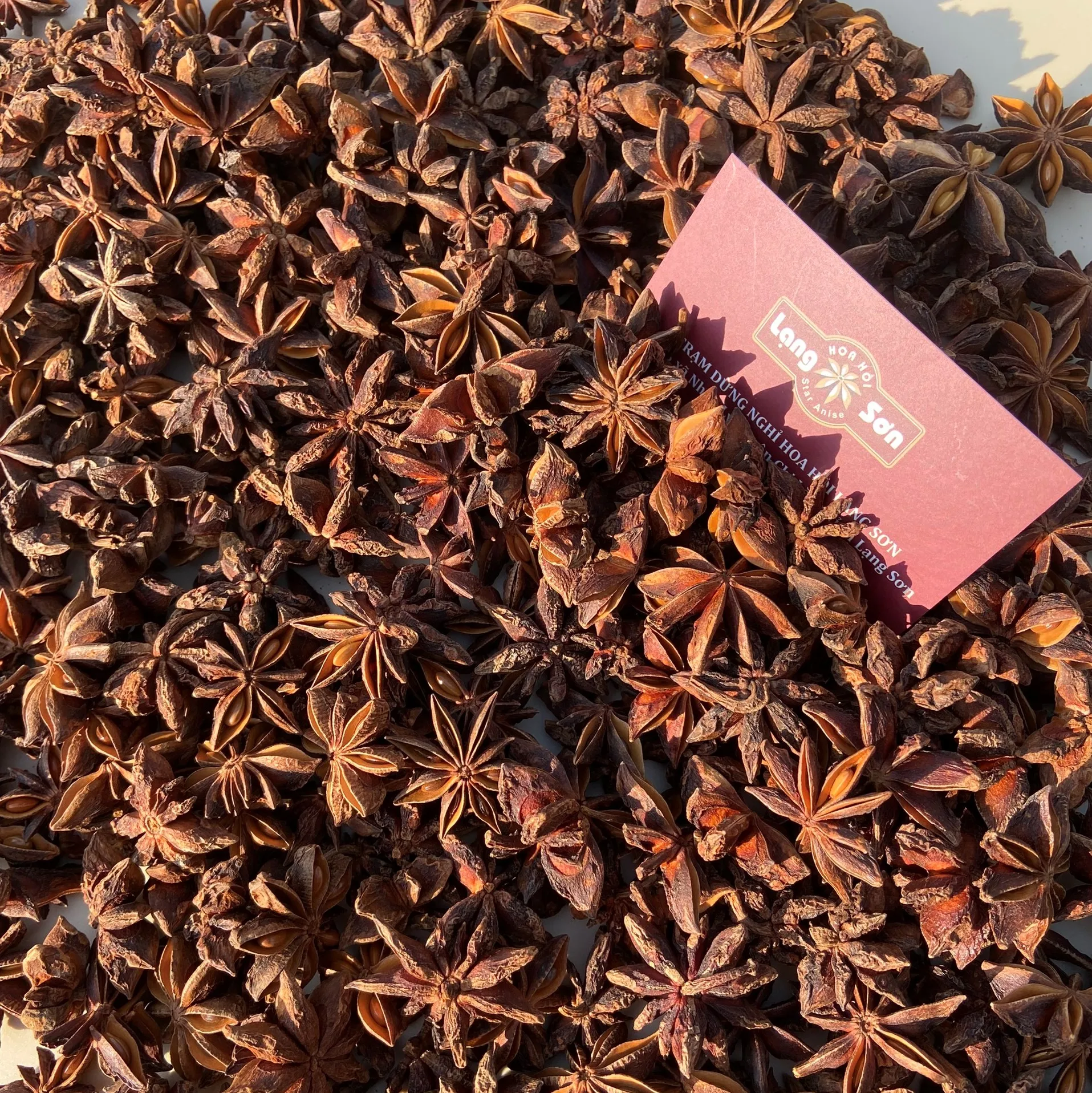 Vietnam Star Anise Natural brown Color Raw Processing Type Packing 10 kgs Moisture 13.5% Max Admixture 1%