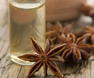 Доступен анис без стержня экспорт оптом из Вьетнама Томаса + 84961478592