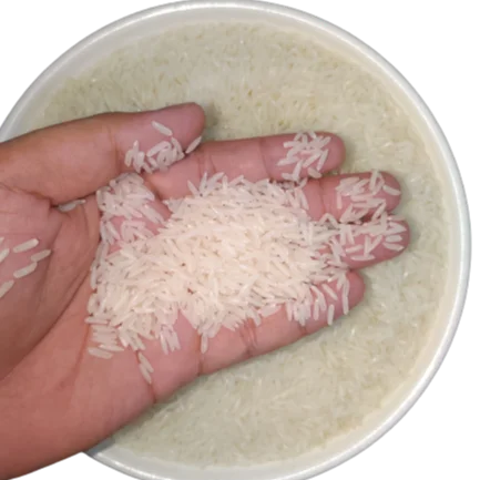 Легкие пакеты 10 кг ароматного риса по более низкой цене, 5% сломанный (тип: 5451 рис)