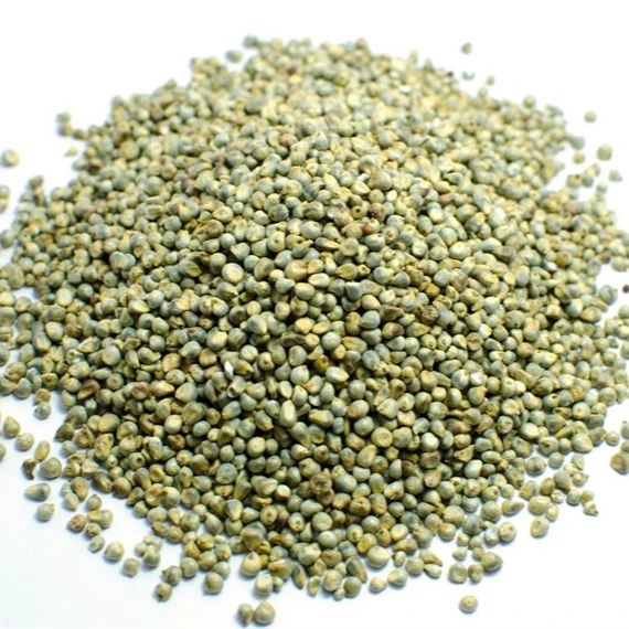 green millet supplier in india