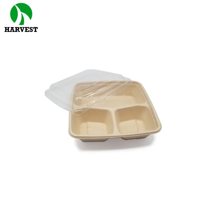 8 Inch 9 Inch Square Bamboo Pulp Compostable Container For Food
