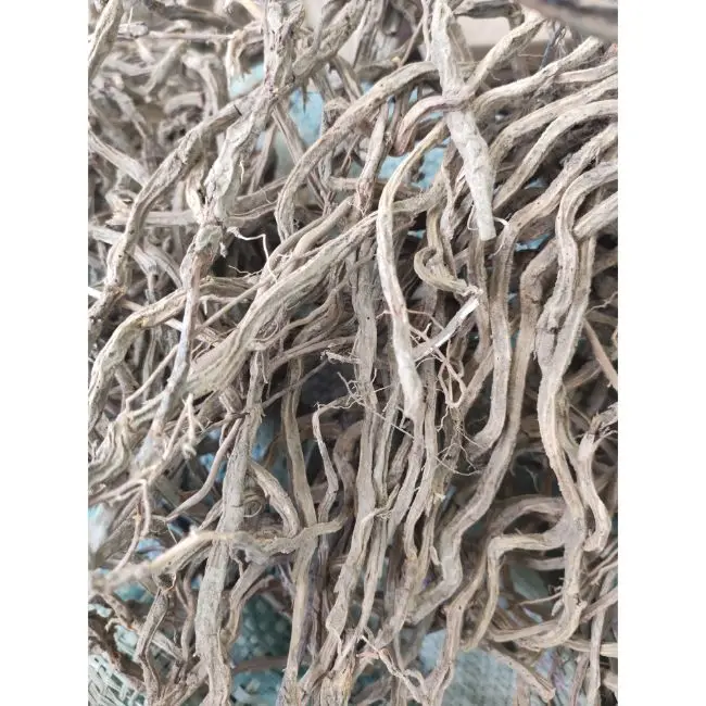 Sarsaparilla Root / Ushba