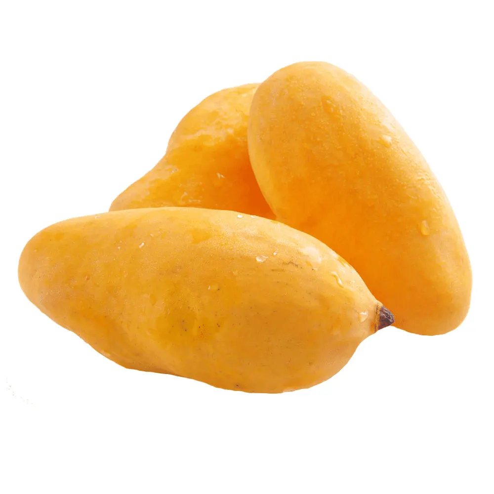 2022 New Arrival 100% Best Top High Quality Pakistani Fresh Mangoes | Fresh Mangoes In Affordable Price