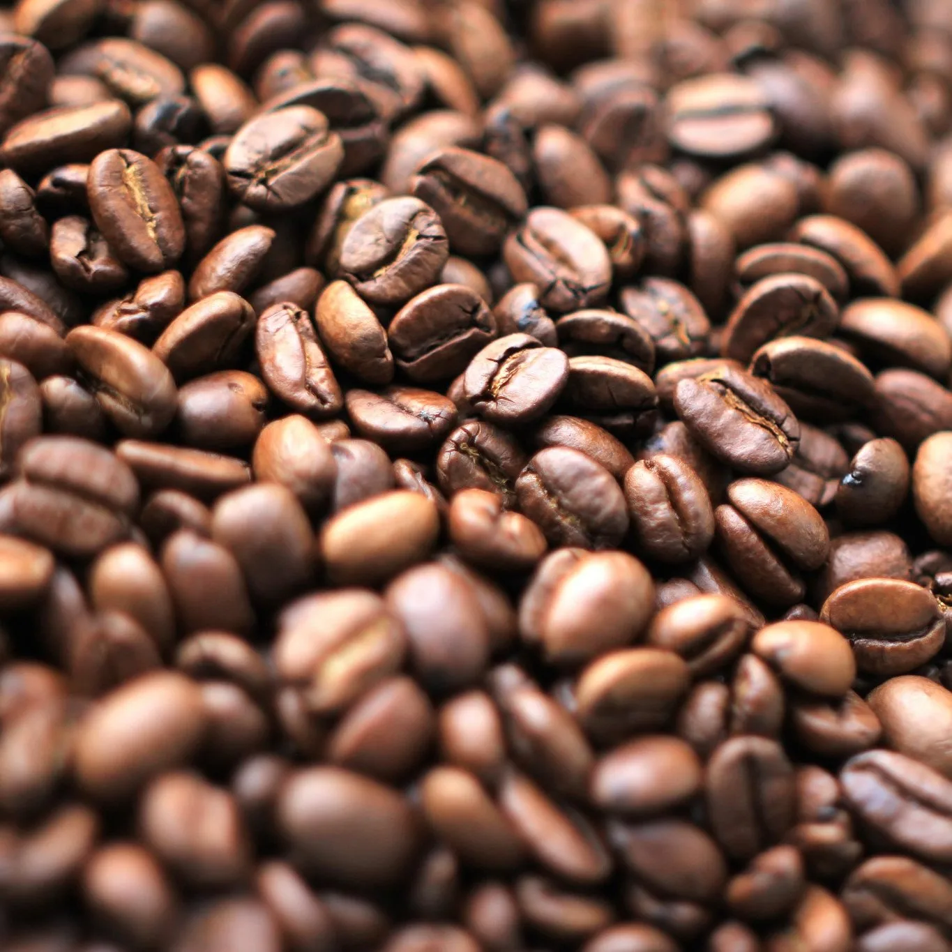 Высококачественные кофейные зерна Арабики по хорошей цене из Вьетнама