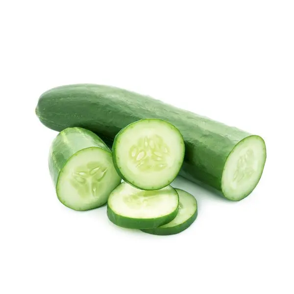 Cucumber organic fresh cucumber wholesale price Indian cucumber