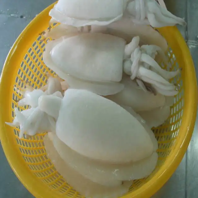 
VIET NAM FROZEN WHOLE CLEANED CUTTLEFISH ISO/HACCP 