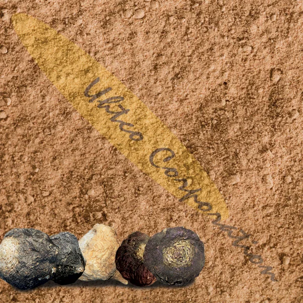 
Concentrated Maca Powder 6:1, 80% black Maca 