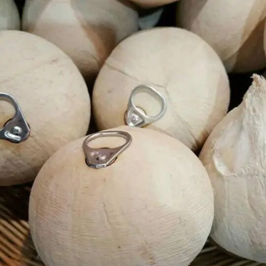 Fresh Young Coconut export from Vietnam - 100% Organic High Quality