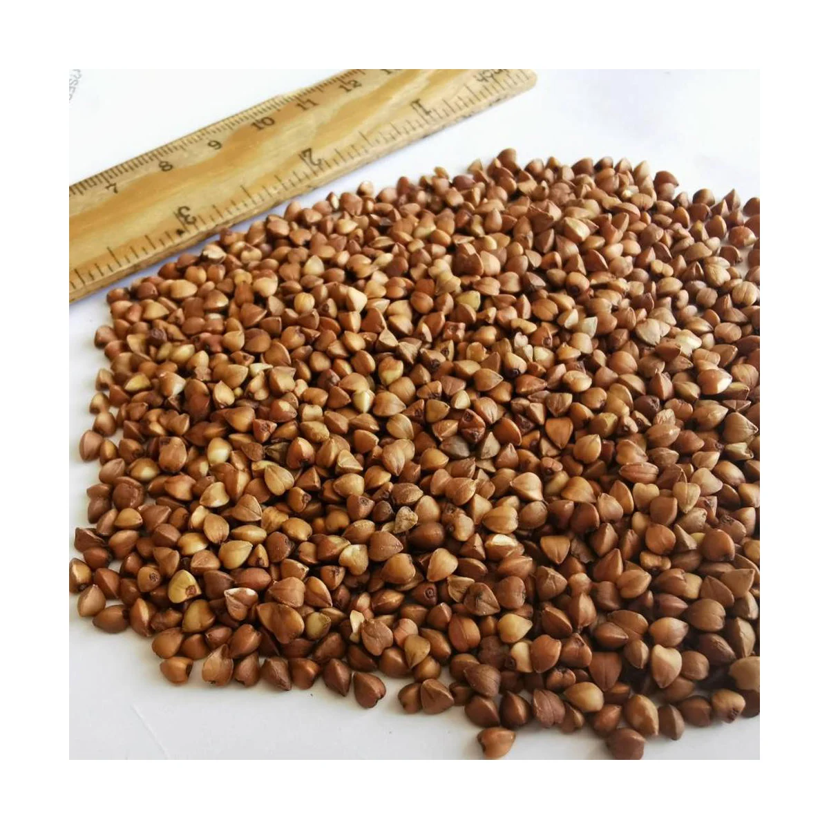 OEM Premium Grade Wholesale Flavors Buckwheat Tea Yellow Black Buckwheat