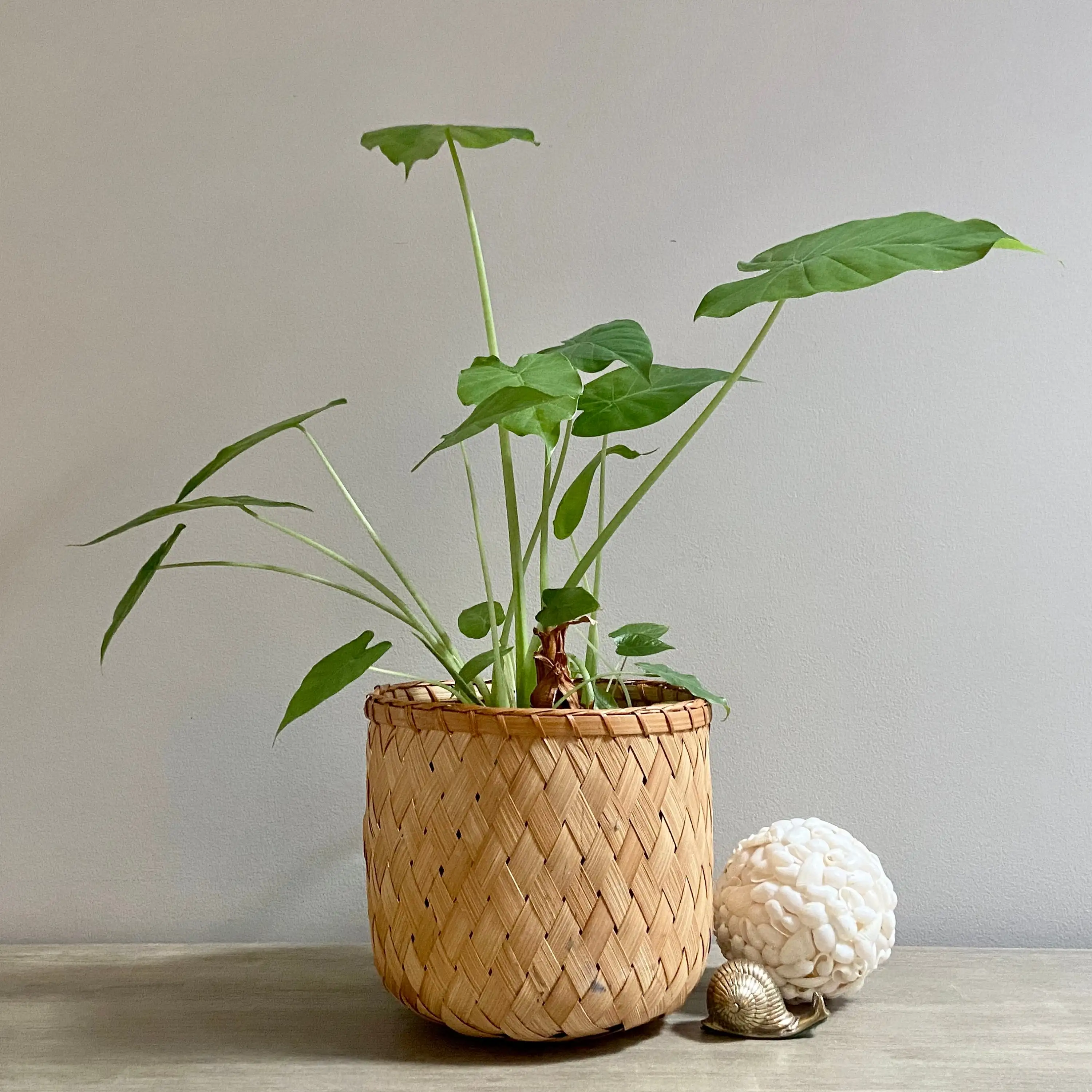 Indoor sturdy handmade bamboo pots for plants large woven bamboo planters wholesale cheap price