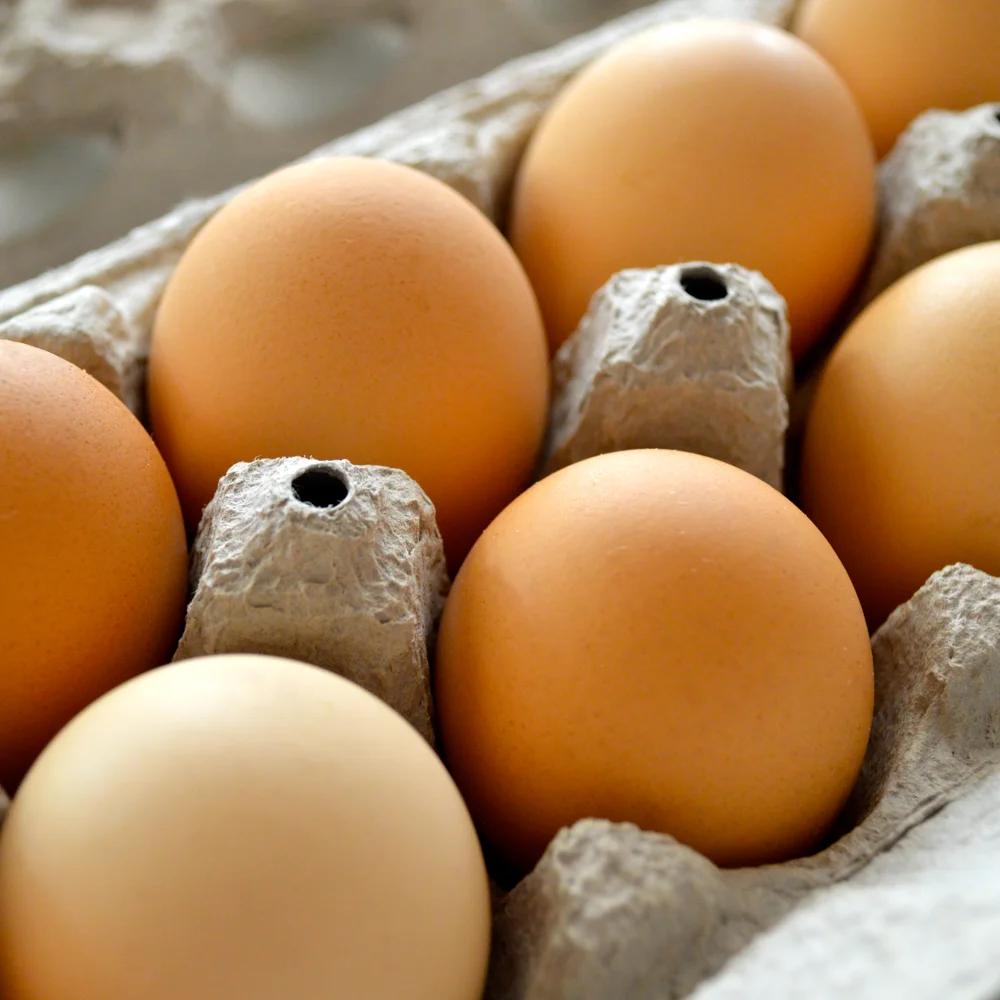 cheap Farm Fresh Chicken Table Eggs Brown and White Chicken Eggs at competitive prices