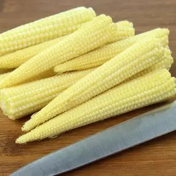 BEST PRICE NATURALLY SWEET FROZEN BABY CORN FOR FOOD FROM AGENAS CO.LTD IN VIET NAM