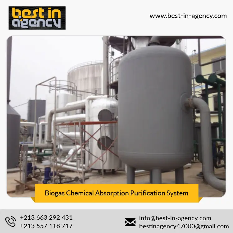CH4 Content 97% Dry Biogas Chemical Absorption Natural Gas Upgrading Purification System Manufacturer