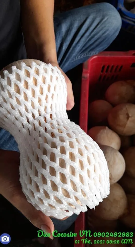 Свежий молодой кокос для оптовой продажи/полуочищенный из Вьетнама/быстрый ответ