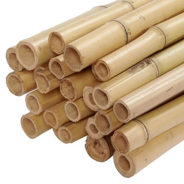 100% Natural bamboo pole - big bamboo poles Manufacturer directly- Wholesale bamboo pole with cheap price