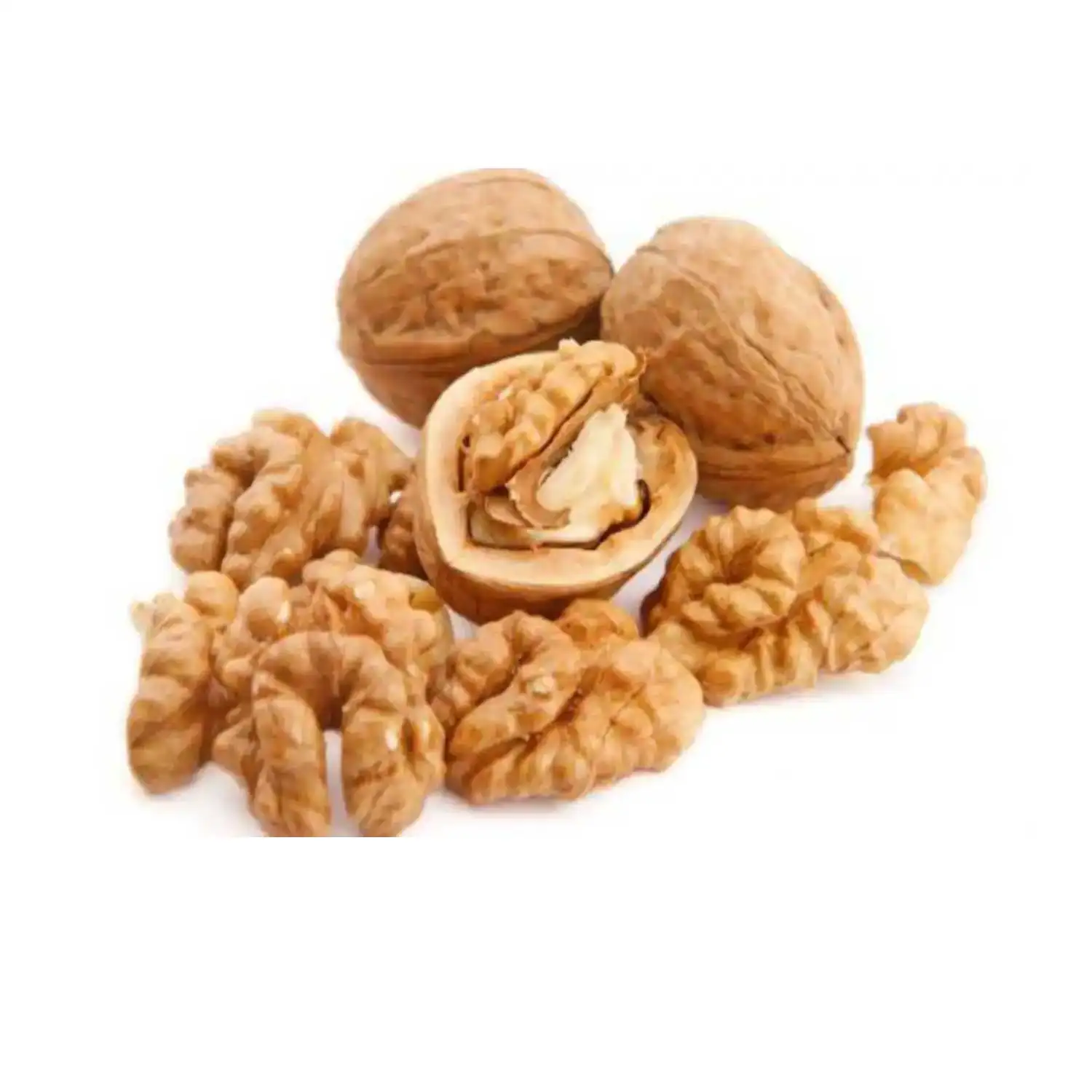 Walnuts Hot Sales Fresh Healthy Food Top Quality Bulk Large Size Raw Walnuts Kernels
