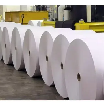 45gsm to 330gsm Brown White PE or Silicone Coated Kraft Paper Jumbo Roll