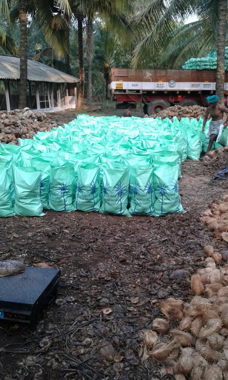 Coconut Large Manufacture Exporter of Coconut 100% Natural  Used Food Oil  More Milk Extraction Packaging  Customised logo