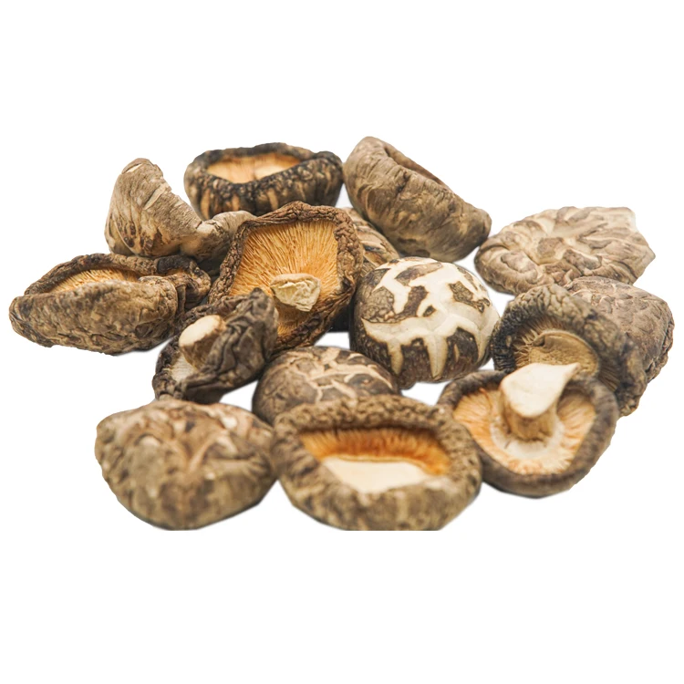 Dried Shiitake Mushroom Wholesale cheap dried shiitake mushroom-Ivy HH+84977157110