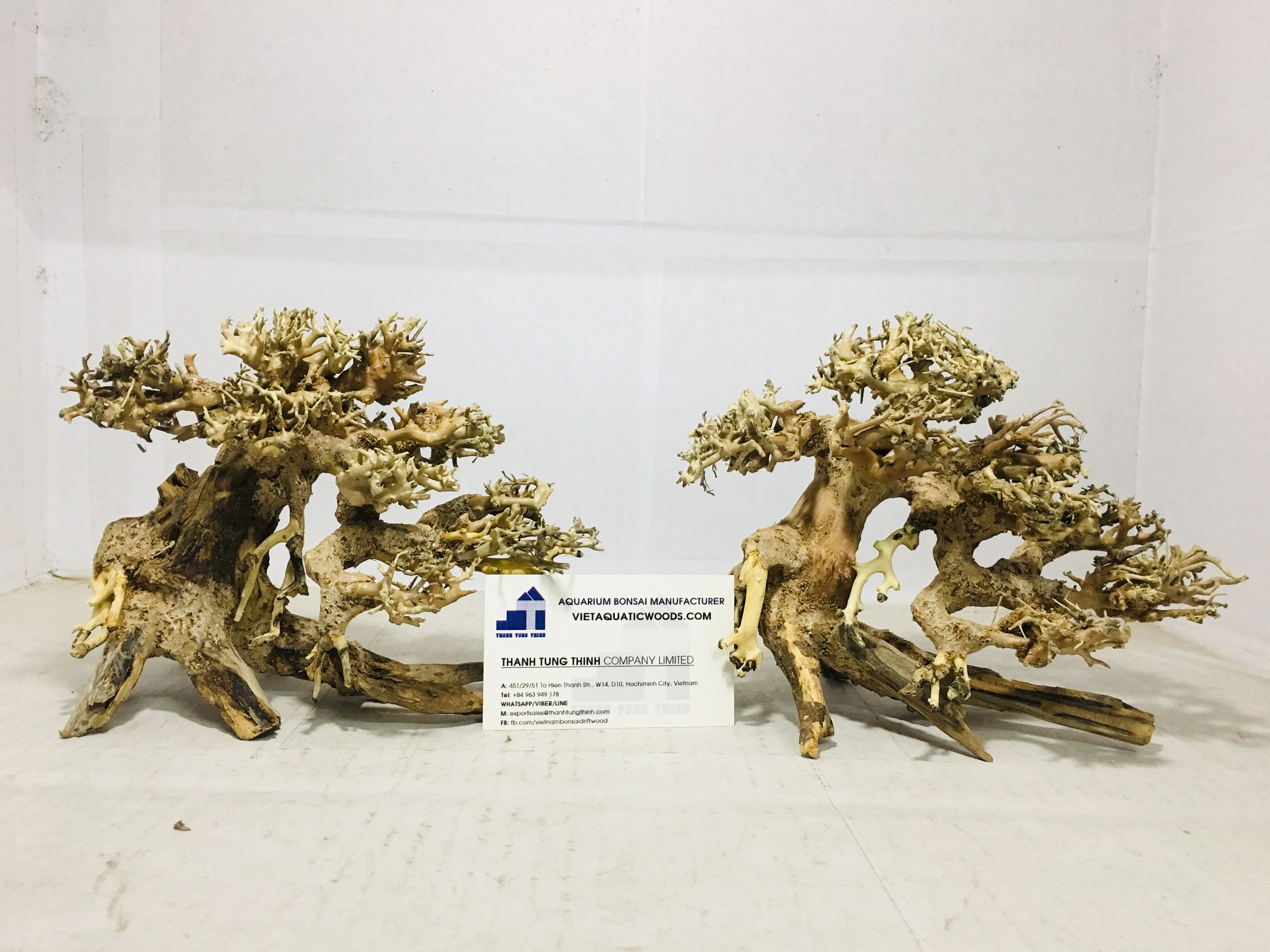 2024 Good Quality Bonsai Driftwood for Aquarium Decoration WhatsApp: +84 961005832