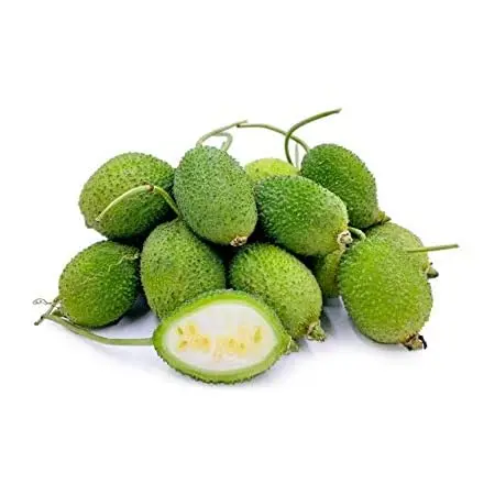 Wholesale Price Fresh Green kantola vegetable ( kakrol )Best Quality Spiny gourd vegetable Fresh Vegetables Exporter from India.